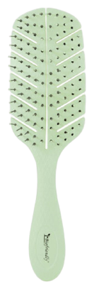 Biofriendly Biodegradable Skeleton Brush