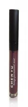 Fixed Rouge matte lipstick 106