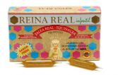 Royal Jelly Infant 20 Vials 10 ml