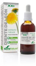 century dandelion extract XXI