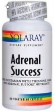 Adrenal Success 60 Capsules